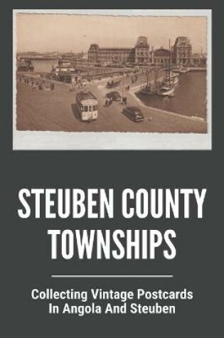 Cover of Steuben County Townships