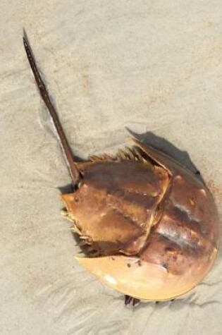 Cover of Horseshoe Crab on the Beach Journal