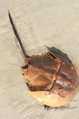 Book cover for Horseshoe Crab on the Beach Journal