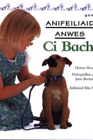 Cover of Cyfres Anifeiliaid Anwes: Ci Bach