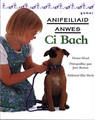 Book cover for Cyfres Anifeiliaid Anwes: Ci Bach