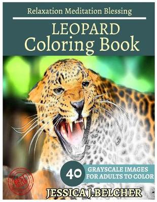 Book cover for Leopard Coloring Books