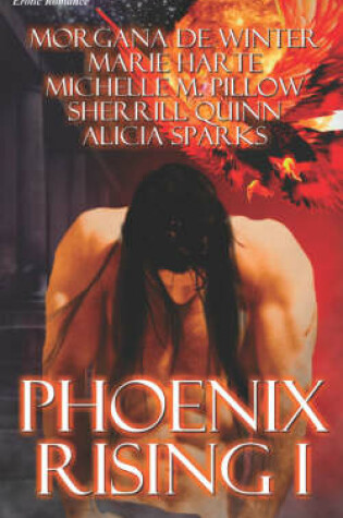 Cover of Phoenix Rising I