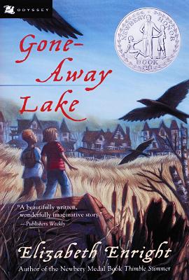 Book cover for Gone-Away Lake