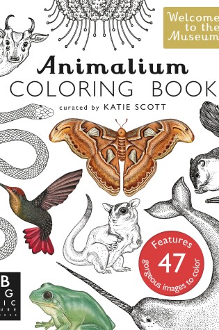 Cover of Animalium Coloring Book