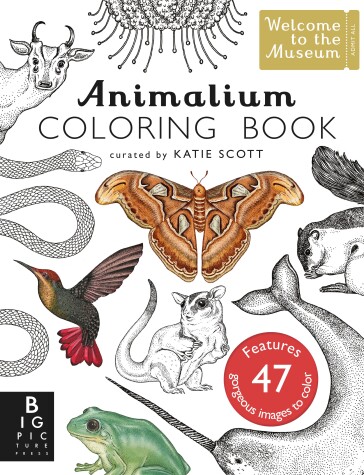 Book cover for Animalium Coloring Book