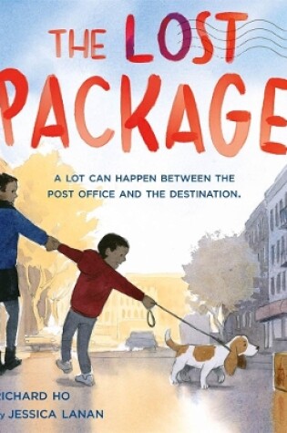 Cover of The Lost Package