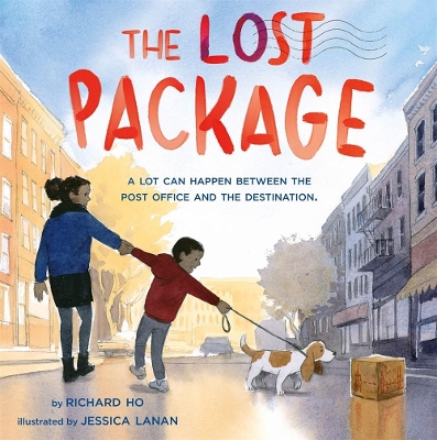 Book cover for The Lost Package