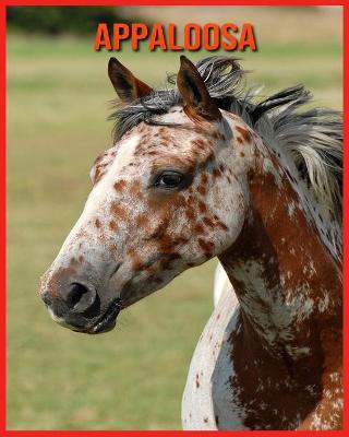 Book cover for Appaloosa