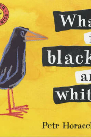 Cover of What Is Black And White?