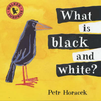 Book cover for What Is Black And White?