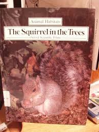 Book cover for The Squirrel in the Trees