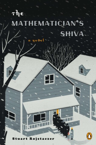 Book cover for The Mathematician's Shiva