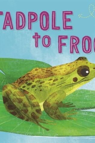 Cover of Life Cycles: From Tadpole to Frog