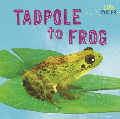 Book cover for Life Cycles: From Tadpole to Frog