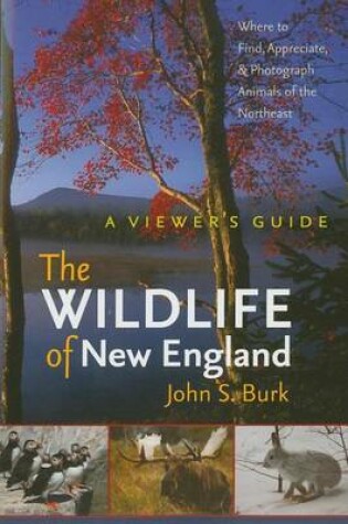 Cover of The Wildlife of New England: A Viewer's Guide