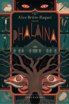 Book cover for Phalaina