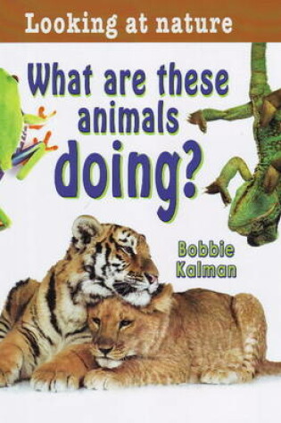 Cover of What Are These Animals Doing?