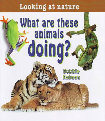Cover of What Are These Animals Doing?