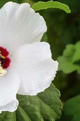 Cover of Hibiscus Flowers Notebook