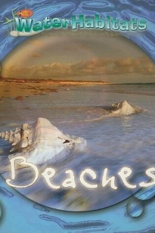 Cover of Beaches