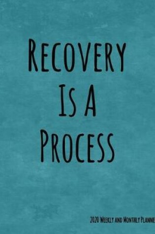 Cover of Recovery Is A Process