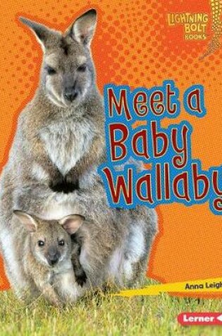 Cover of Meet a Baby Wallaby