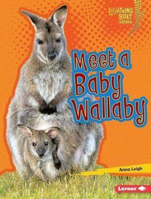 Cover of Meet a Baby Wallaby