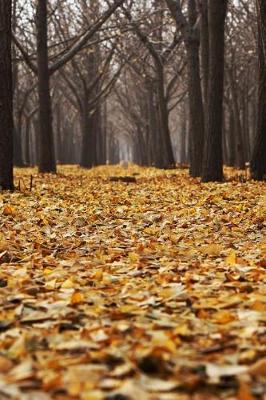 Book cover for Autum Leaves Fallen on the Forest Floor Journal