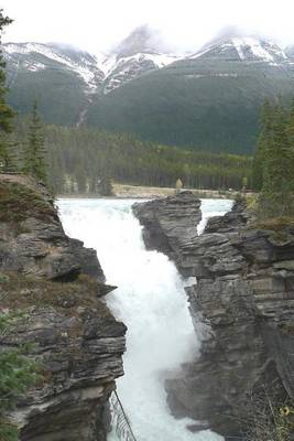 Book cover for Athabasca Falls in Jasper National Park, Alberta, Canada