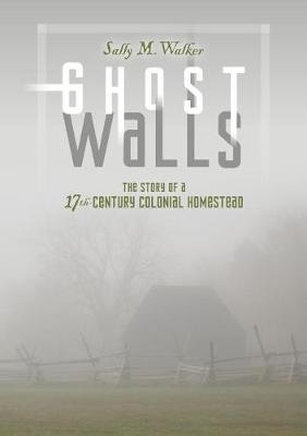 Book cover for Ghost Walls