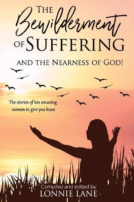 Book cover for The Bewilderment of Suffering