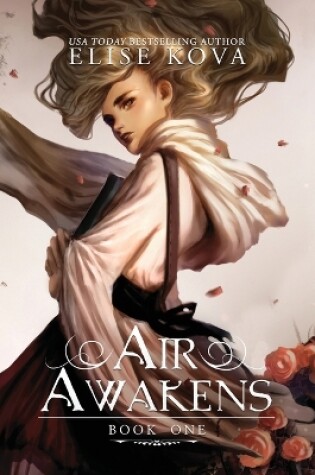 Cover of Air Awakens