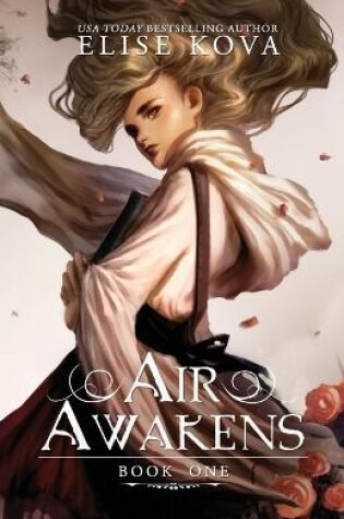 Cover of Air Awakens