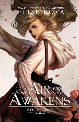 Book cover for Air Awakens
