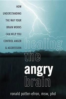 Book cover for Healing the Angry Brain