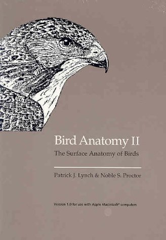 Book cover for Bird Anatomy II