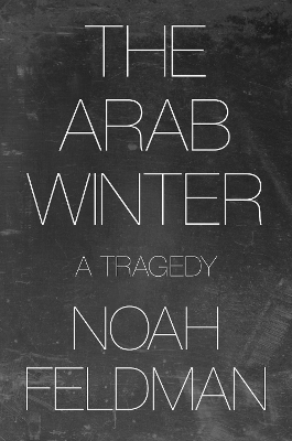 Book cover for The Arab Winter
