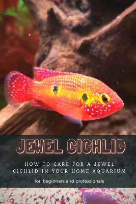 Book cover for Jewel Cichlid
