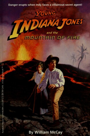 Book cover for Mountain of Fire