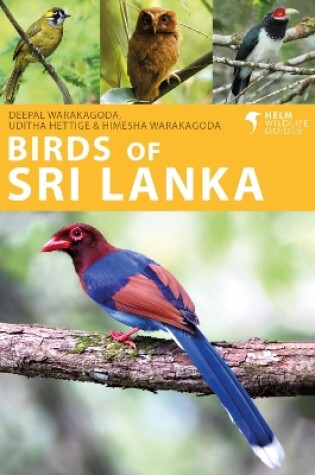 Cover of Birds of Sri Lanka