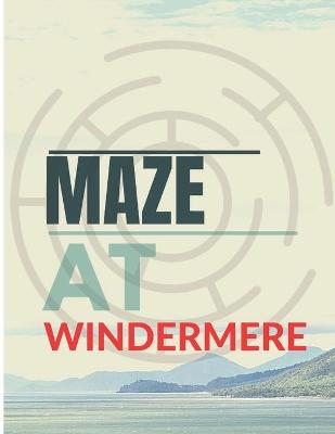 Book cover for The Maze at Windermere