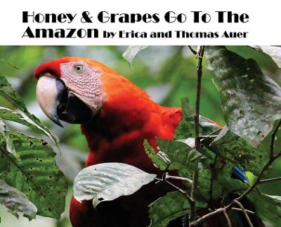 Book cover for Honey & Grapes Go To The Amazon