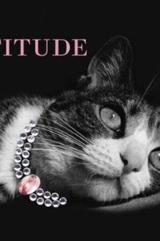 Cover of Cattitude Journal