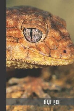 Cover of Dragon Gecko