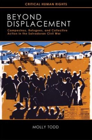 Cover of Beyond Displacement