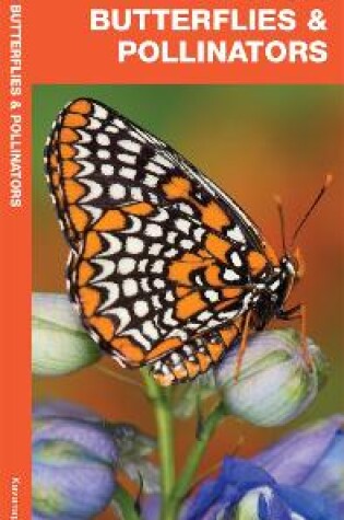 Cover of Maine Butterflies & Pollinators