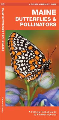 Book cover for Maine Butterflies & Pollinators