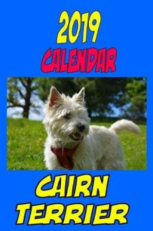 Cover of 2019 Calendar Cairn Terrier