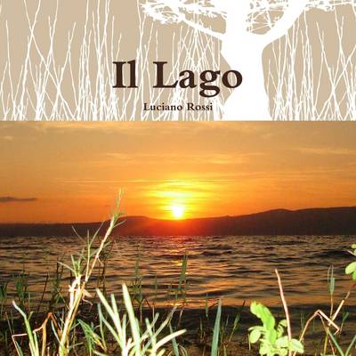 Book cover for Il Lago